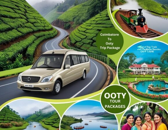 Coimbatore to Ooty Trip Packages with South Indian Tourist